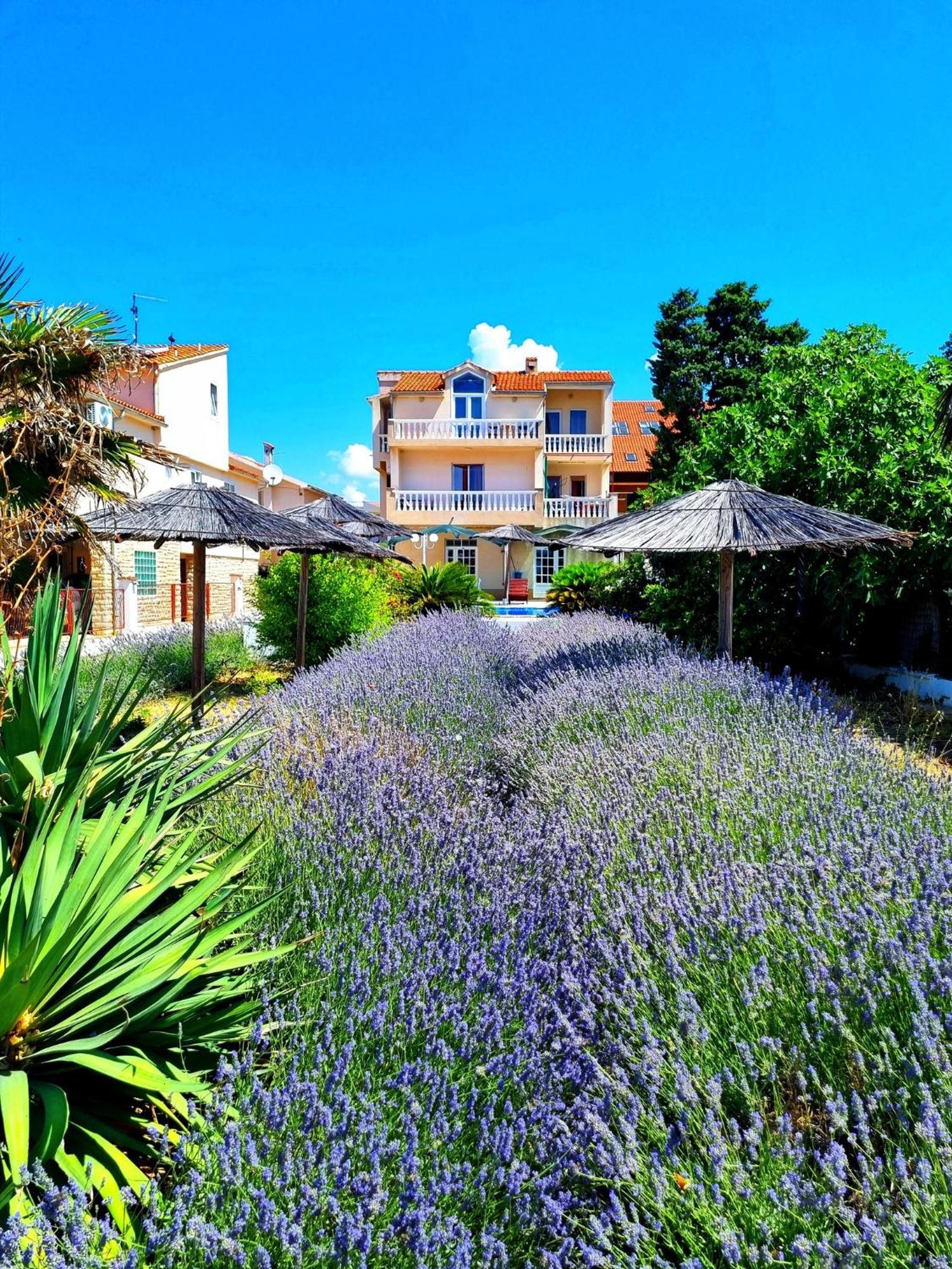 Villa Lana Tribalj Exteriér fotografie